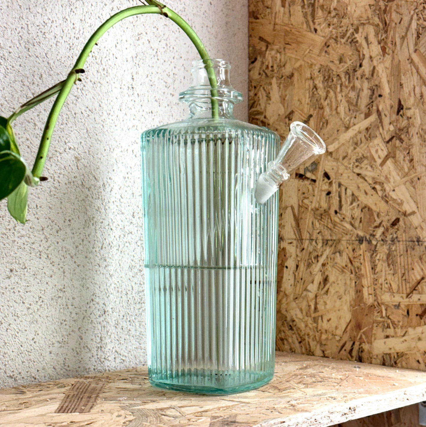 „It‘s not a vase, Mom!“